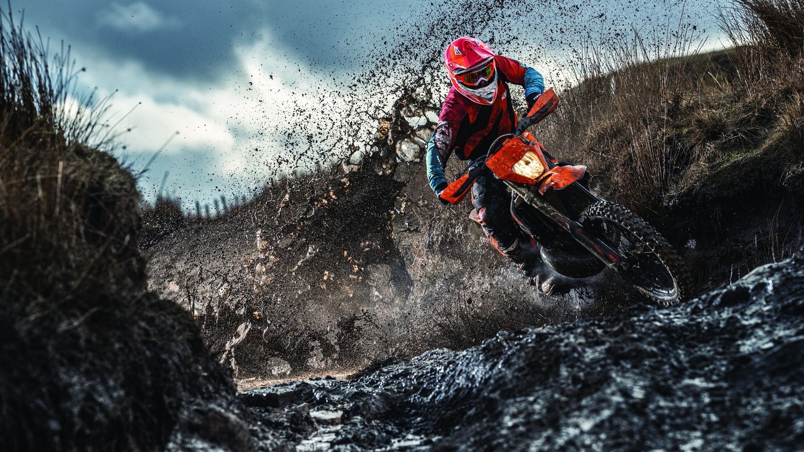 mk体育官方网站-“武汉马拉松赛场，极速飞驰的新星即将诞生”